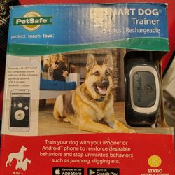 Smart Dog Trainer In Spring Hill