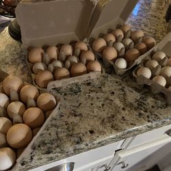 Farm Fresh Eggs