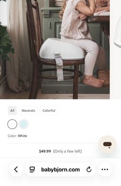 BabyBJorn booster seat