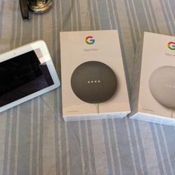 Google/Nest Devices 