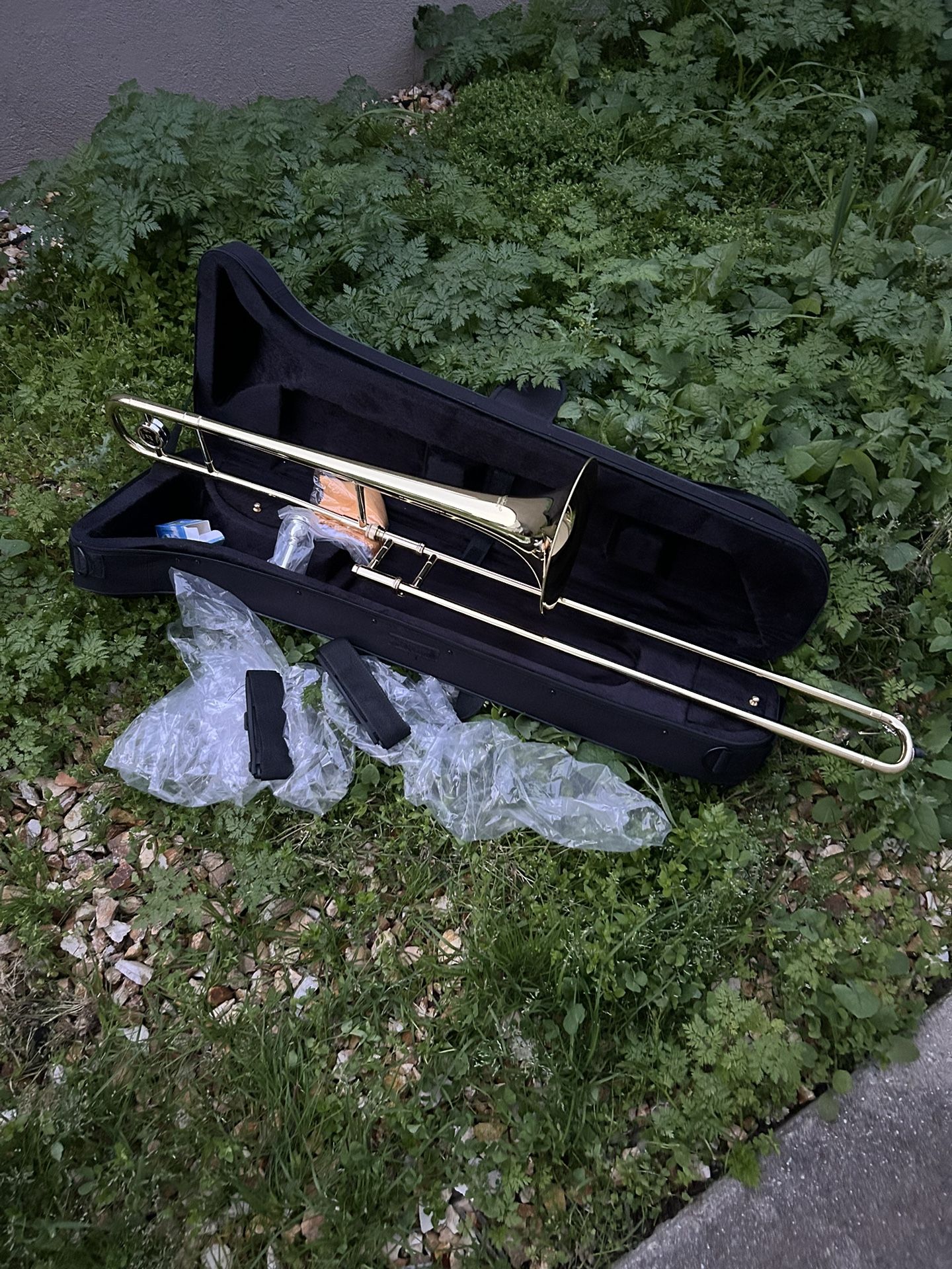 Beautiful 😻 Slide Trombone