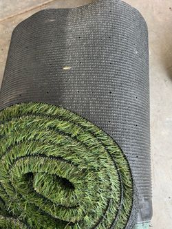 Turf Grass- Marathon