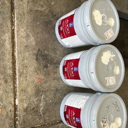 Exterior Paint. 7566 Westhighland White 