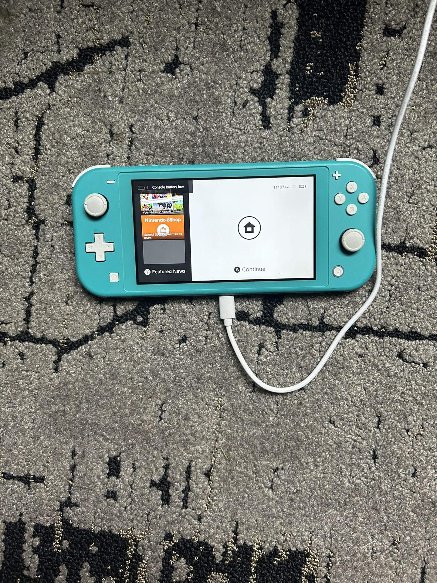 Nintendo Switch Lite 