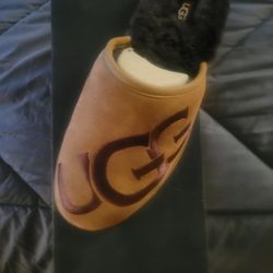 Men's Ugg Slippers