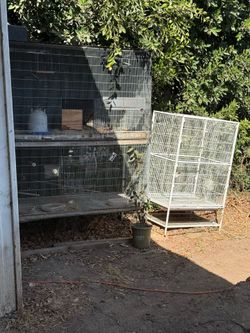 Cages
