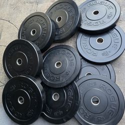 Weight Rogue Bumper Plates