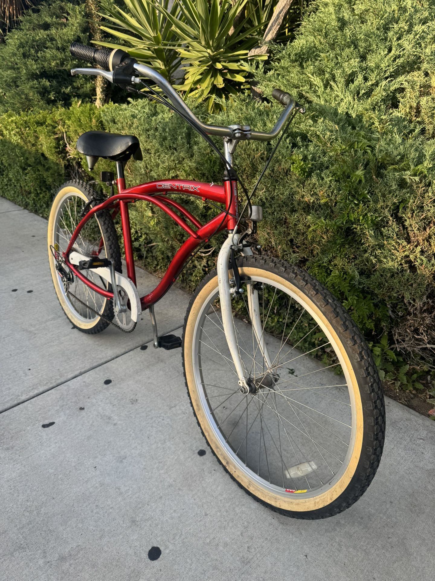 Beach Cruiser