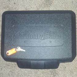 Sentry Safe Lock Box