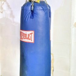 Blk FRIDAY  sale - Everlast - 4 ft  80 Lb. Heavy Punching Bag 