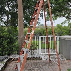 10 Ft Ladder