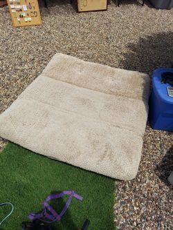 Large dog bed kirkland