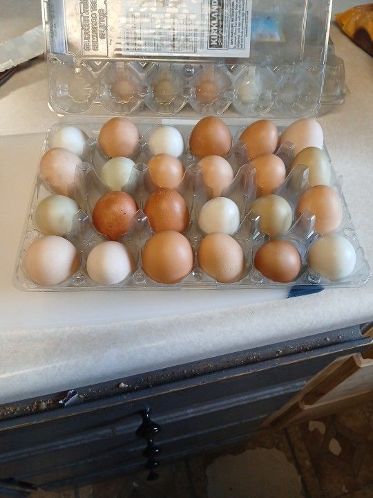 Eggs $7 Per Dozen
