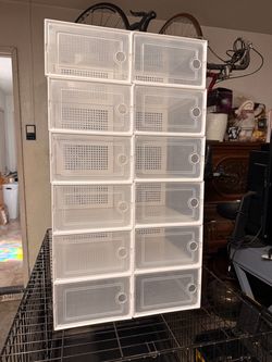Shoe organizer