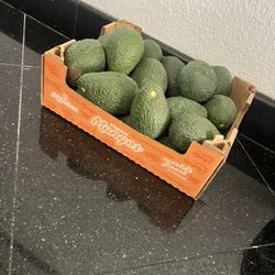 Organic Avocados