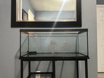 20 gallons tank