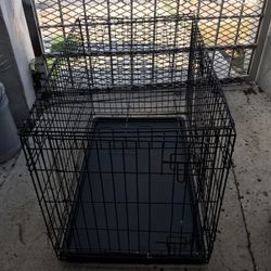 Kennel. Dog
