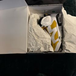 Jordan Retro 6s