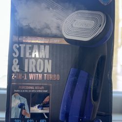 2-1 Steam iron