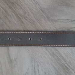Harley Davidson Dog Collar