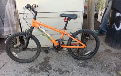 Diamond back bike 20"