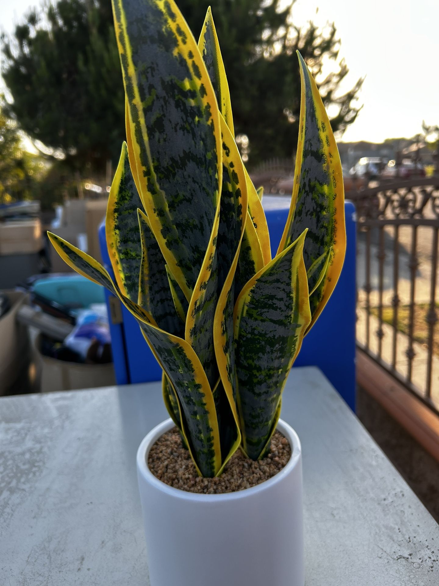 Brand New Fake Plant
