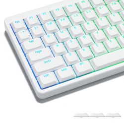 Womier Low Profile Shine Through Keycaps (WHITE OR BLACK)