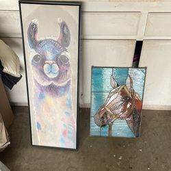 Pictures
