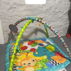 Infant Play Mat