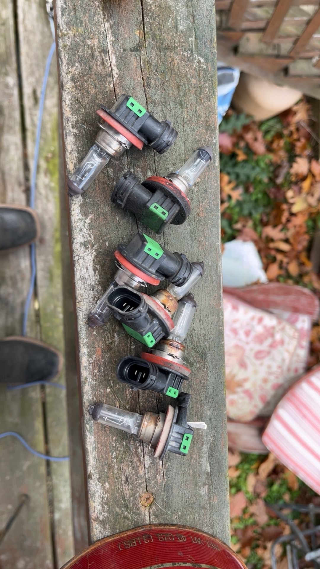 Light Bulbs For Mini Van