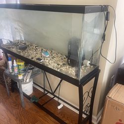 50 Qt Fish Tank With Stand - ONLY $150