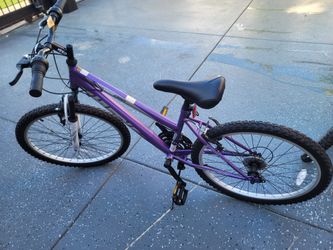 Bicicletas