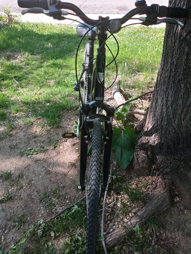 Trek Verve 2