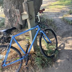 Blue bike