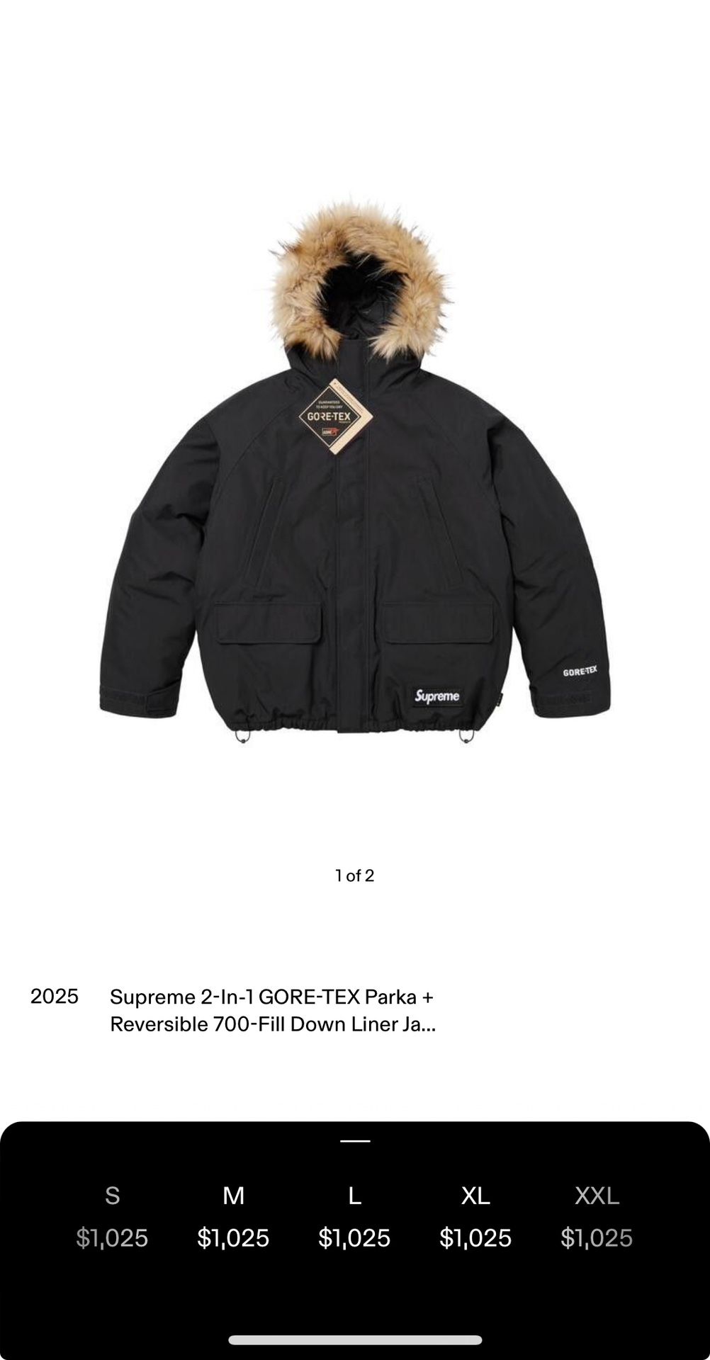 Supreme 2-in-1 GORE-TEX Parka + Reversible 700-Fill Down Liner Jacket