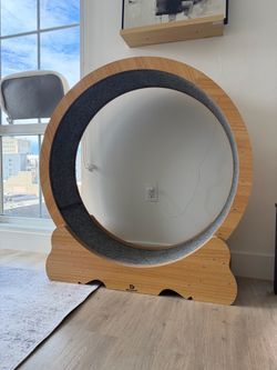 46” Large Cat Wheel