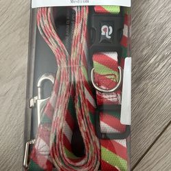 Medium Pet Collar With Matching Leash 