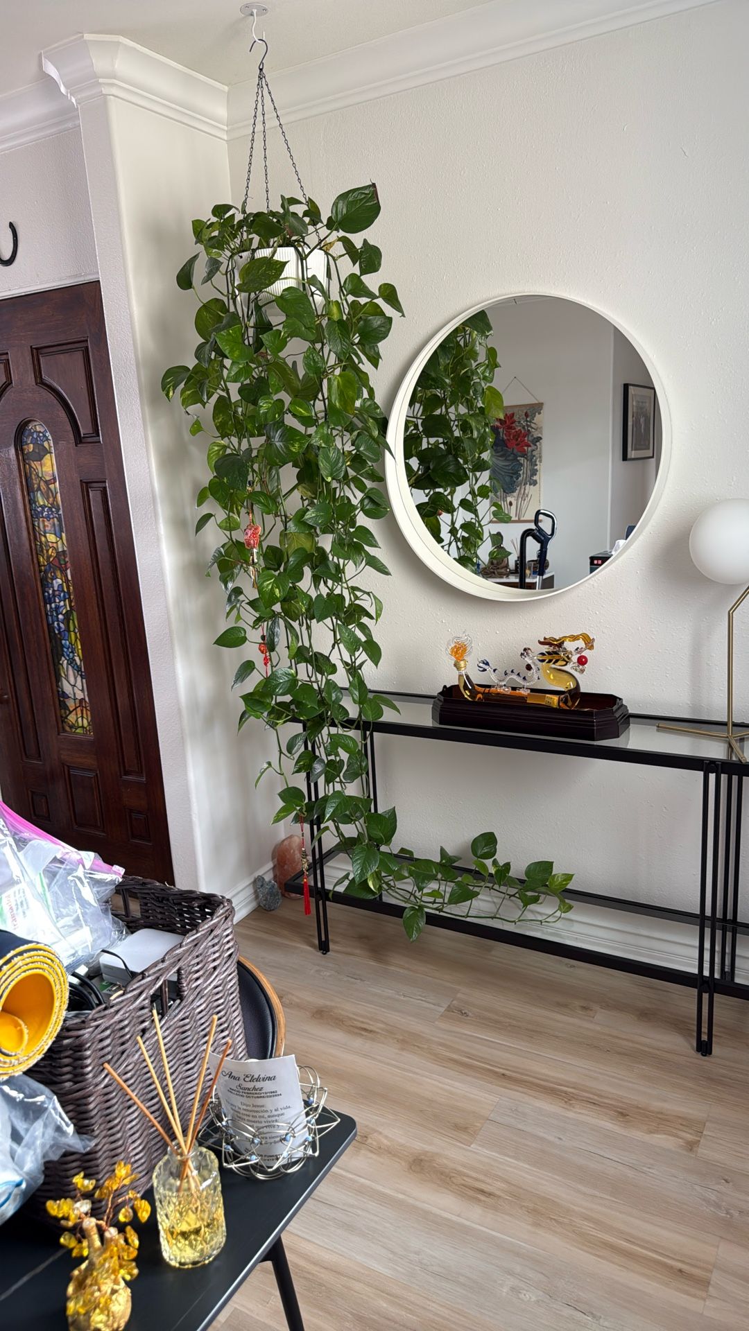 Plant.