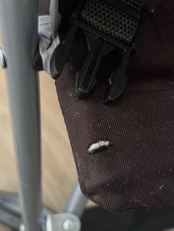 Toddler stroller