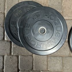 Rogue HG Bumper Plates