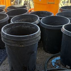 Containers For Plants 15 Galones 