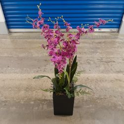 Floral Floor Plant