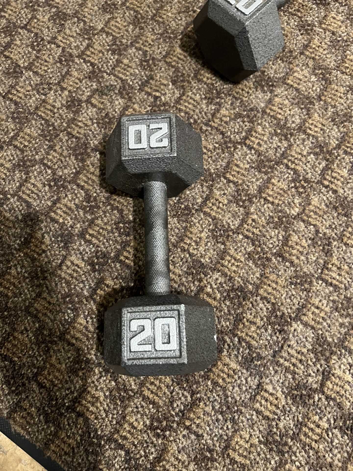 20 Lbs Dumbbells