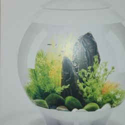 BioOrb Halo 30L Designer Fish Tank 💎 $200+ Retail | Aesthetic Vibes | Plug & Play w/ Extras!
