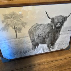 Highland Cow Framed Print -20” x 30” Rustic Wood Frame, Farmhouse Decor
