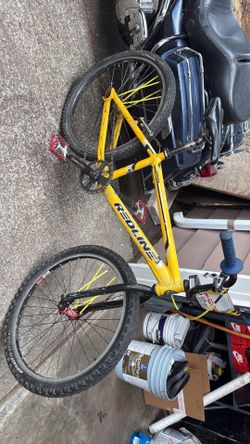 BMX 24” REDLINE PROLINE