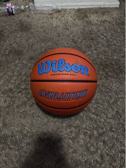 Wilson Evolution Ball