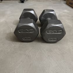 45 LB Iron Dumbbells