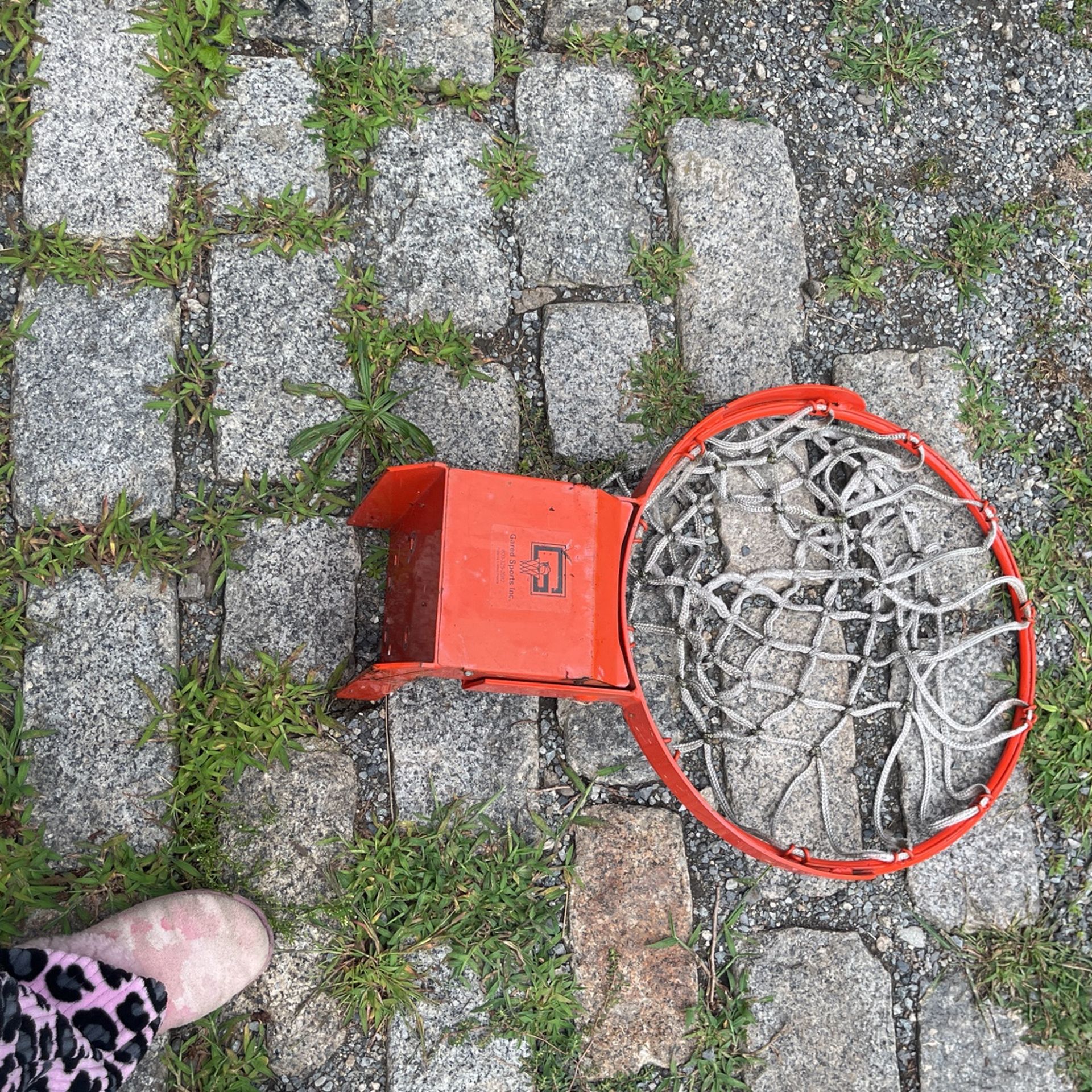 basket ball hoop