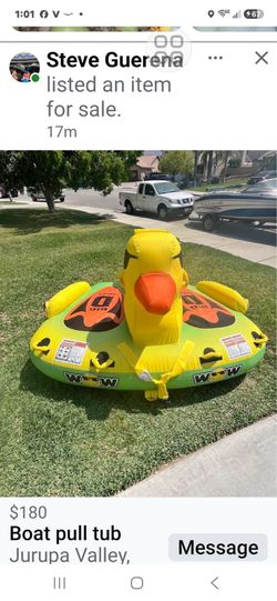 The duck